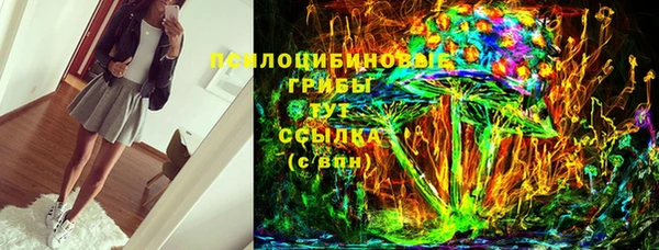 ПСИЛОЦИБИНОВЫЕ ГРИБЫ Алексеевка