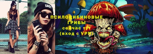 ПСИЛОЦИБИНОВЫЕ ГРИБЫ Алексеевка