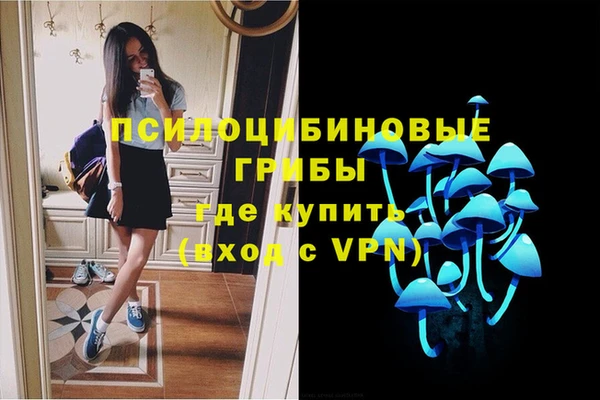 ПСИЛОЦИБИНОВЫЕ ГРИБЫ Алексеевка