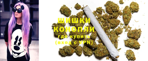 ПСИЛОЦИБИНОВЫЕ ГРИБЫ Алексеевка